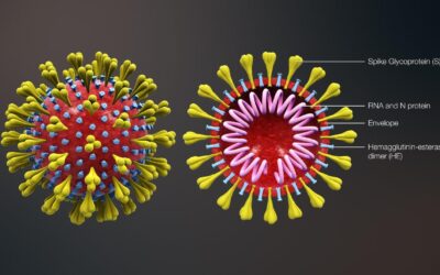 Primo caso sospetto di Coronavirus diagnosticato al S.Chiara – pec di CIMO